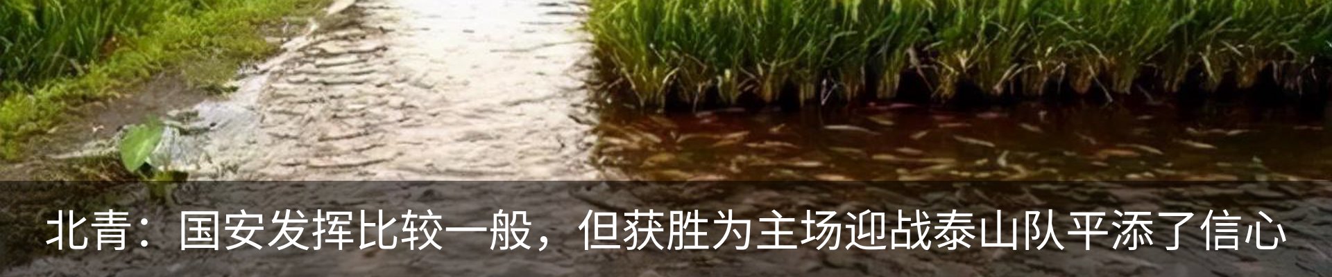 行业资讯