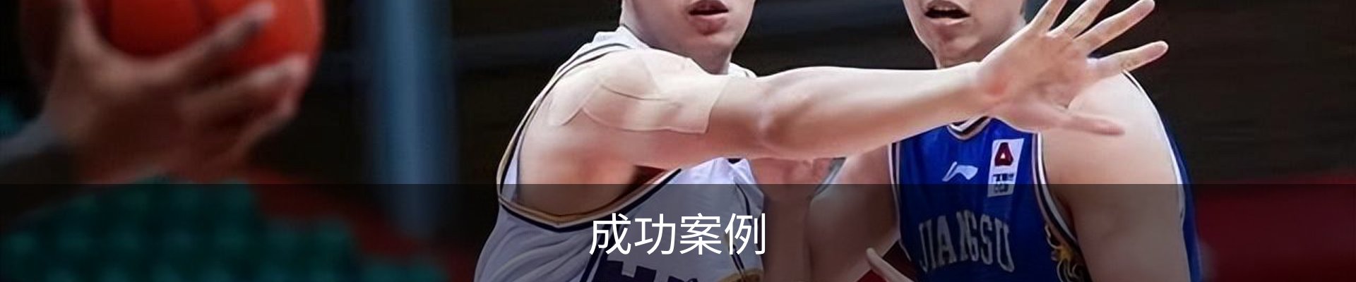 成功案例